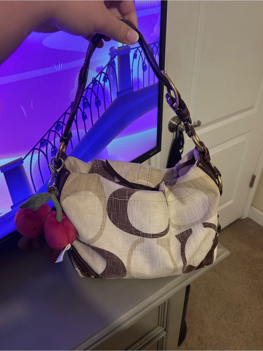 Coach Carly Signature Hobo